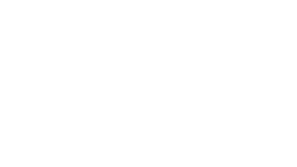 Capricorn 2027: an ibex in profile under a faint field of stars.