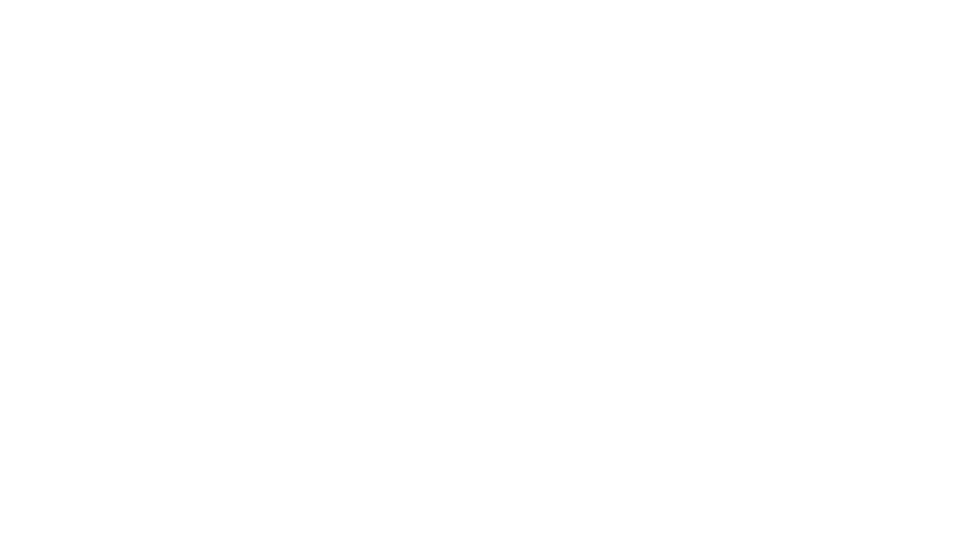 Leo 2027: a lion in profile under a faint field of stars.