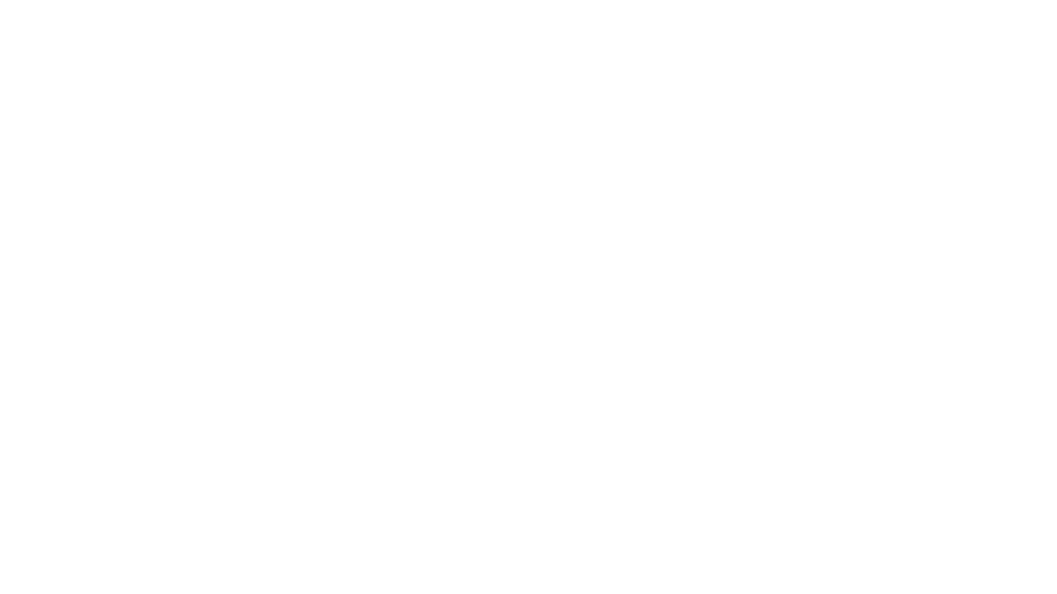Taurus 2027: a pale bull in profile under a faint field of stars.
